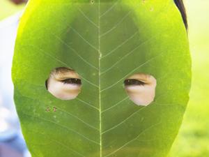 東横イン草加駅西口の魅力と特徴：便利なアクセスと快適な宿泊環境