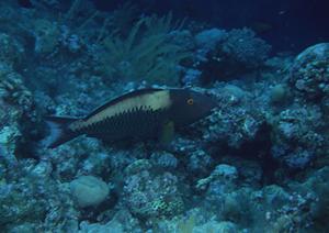 人気がある金沢の着物レンタル専門店