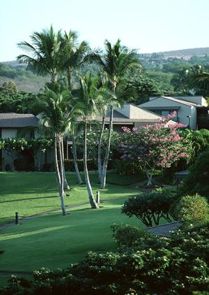 名古屋一宮で快適＆便利な宿泊体験を提供する東横イン名古屋尾張一宮駅前の魅力と特徴