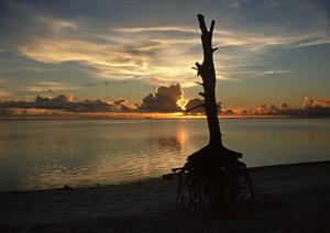 那須でサークル合宿を検討している方へ