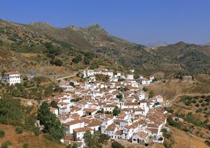鳥取駅南口から徒歩2分！快適な滞在が叶う【東横INN鳥取駅南口】の魅力と詳細情報