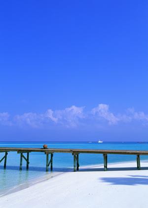 【公式】東横INN新居浜駅前｜愛媛県のビジネスホテルをお得に予約しよう