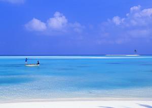 京都観光に最適！東横INN京都四条大宮の魅力と詳細情報