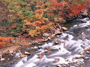 福島県郡山市のビジネスホテル【東横INN郡山】：快適な宿泊と抜群のアクセス便利性を誇る魅力的な宿泊施設