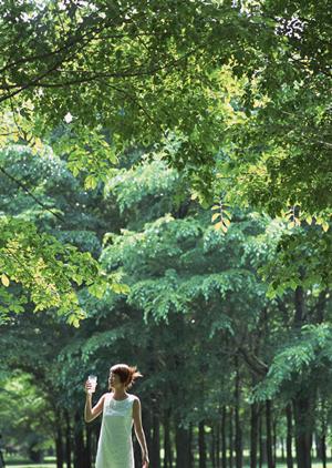 柏駅西口近くの快適なビジネスホテル｜東横INN柏駅西口の魅力と詳細情報