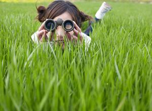 東横INN岐阜羽島駅新幹線南口｜快適なビジネス＆観光に最適なホテルの魅力と詳細情報