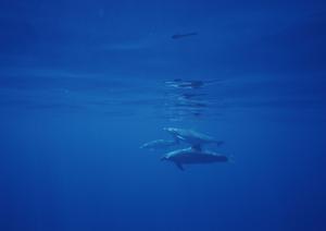 横浜のビジネスと観光に最適なホテル｜東横INN横浜関内の魅力と詳細情報