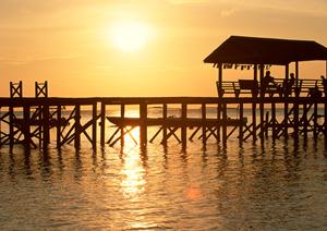 広島市中心部の快適ビジネスホテル – 東横INN広島平和大通の特徴と魅力