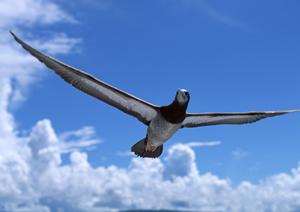 釜山駅から徒歩2分の快適ステイを実現！東横INN釜山駅1の魅力と宿泊情報