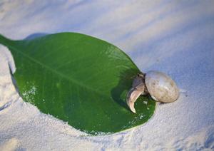 静岡駅北口から徒歩5分の快適ステイを実現！東横INN静岡駅北口の魅力と詳細情報