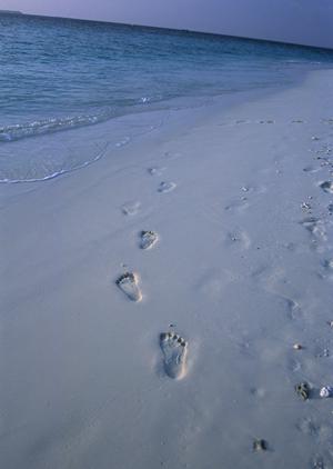 東横INN品川青物横丁駅：都心アクセス抜群のビジネスホテルで快適な滞在を実現