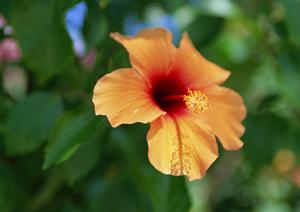 群馬県伊勢崎市の利便性抜群！東横INN群馬伊勢崎駅前の魅力と特徴