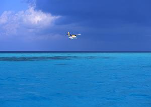 システムメンテナンスのお知らせ：安心してご利用いただくための重要な情報