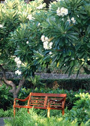 福井駅西口徒歩1分！快適な滞在と便利なアクセスを誇る東横INN福井駅前の魅力